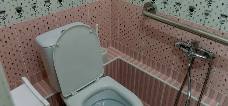 Meeting Diverse Needs With Accessible Restroom Solutions in Lacombe, AB